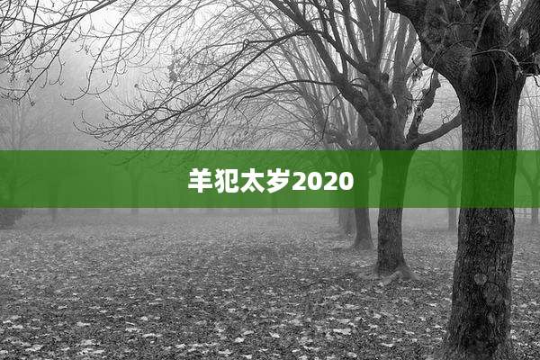 羊犯太岁2020