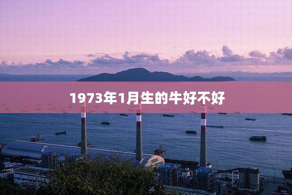 1973年1月生的牛好不好