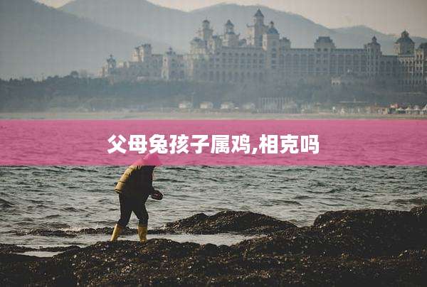 父母兔孩子属鸡,相克吗