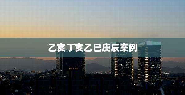 乙亥丁亥乙巳庚辰案例