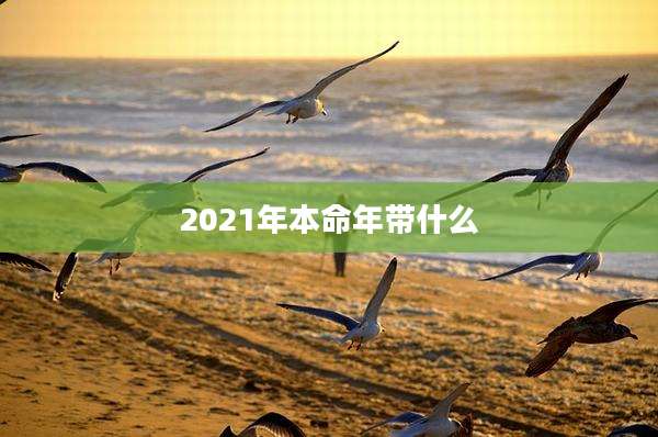 2021年本命年带什么