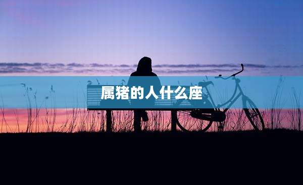 属猪的人什么座
