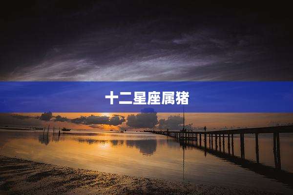 十二星座属猪