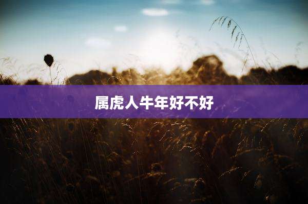 属虎人牛年好不好