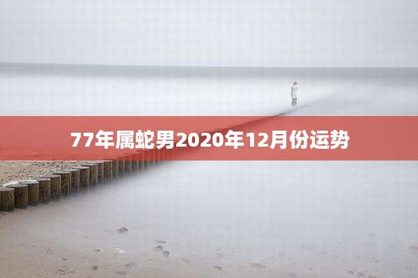 77年属蛇男2020年12月份运势