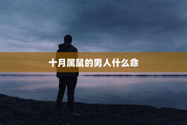 十月属鼠的男人什么命