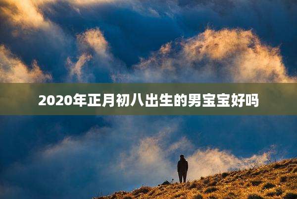 2020年正月初八出生的男宝宝好吗