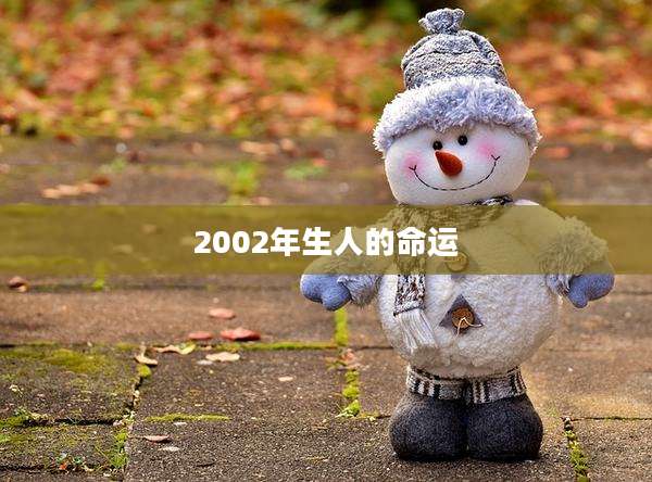 2002年生人的命运