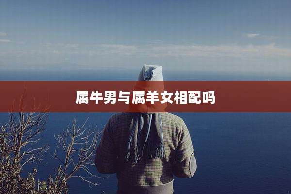 属牛男与属羊女相配吗