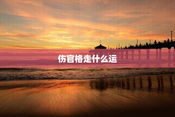 伤官格走什么运