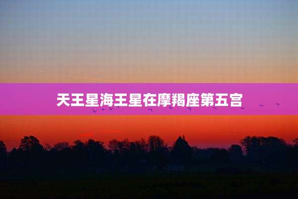 天王星海王星在摩羯座第五宫