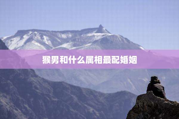 猴男和什么属相最配婚姻
