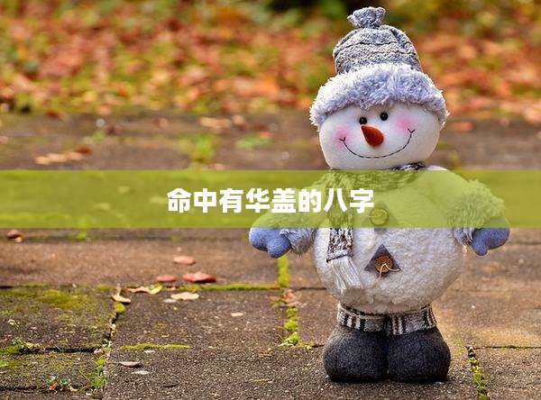 命中有华盖的八字