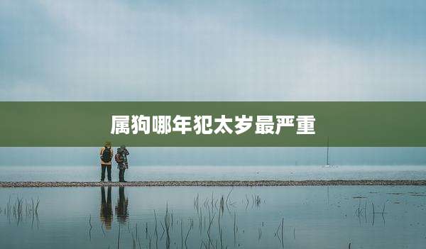 属狗哪年犯太岁最严重