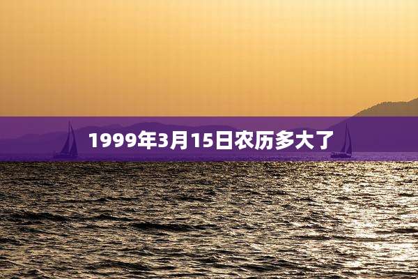 1999年3月15日农历多大了