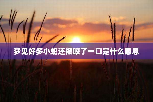 梦见好多小蛇还被咬了一口是什么意思