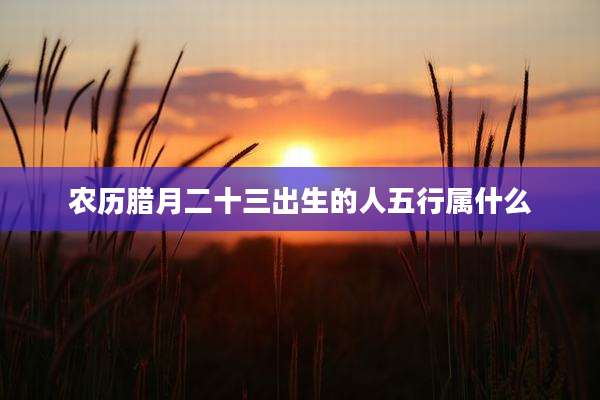 农历腊月二十三出生的人五行属什么