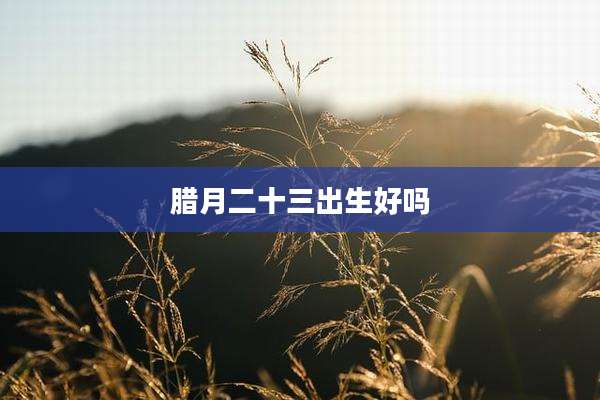 腊月二十三出生好吗
