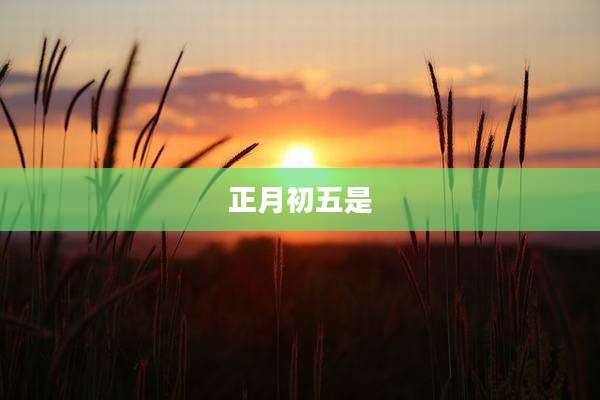 正月初五是