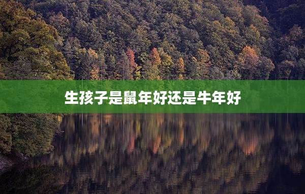 生孩子是鼠年好还是牛年好