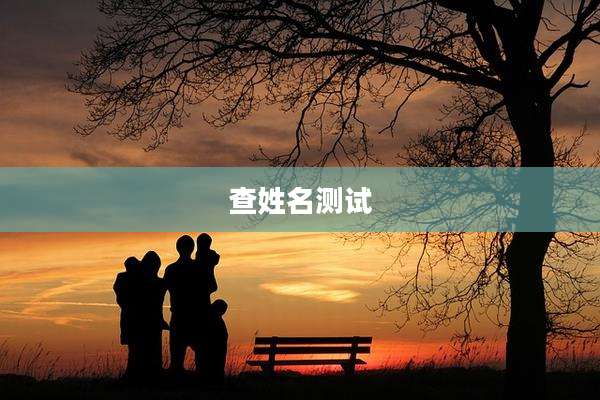 查姓名测试