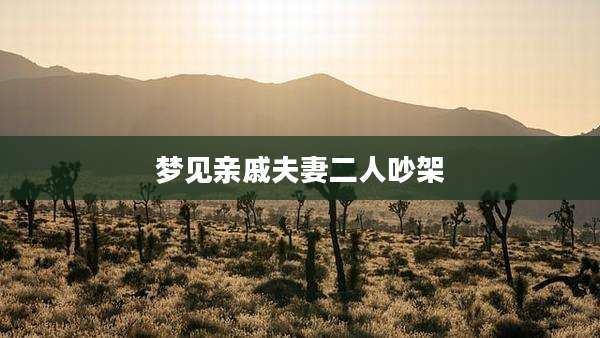 梦见亲戚夫妻二人吵架