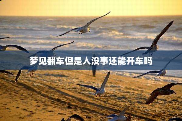 梦见翻车但是人没事还能开车吗