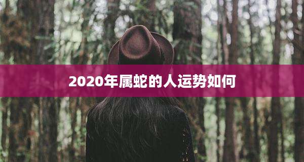 2020年属蛇的人运势如何
