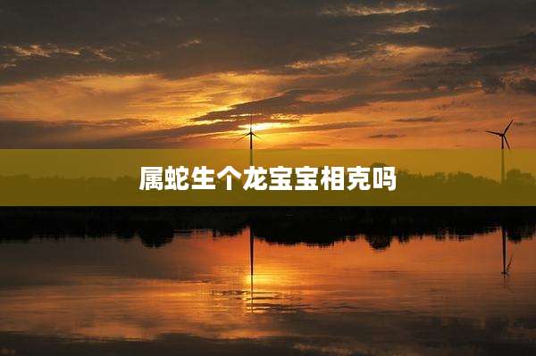属蛇生个龙宝宝相克吗