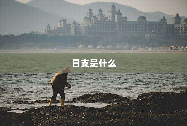 日支是什么