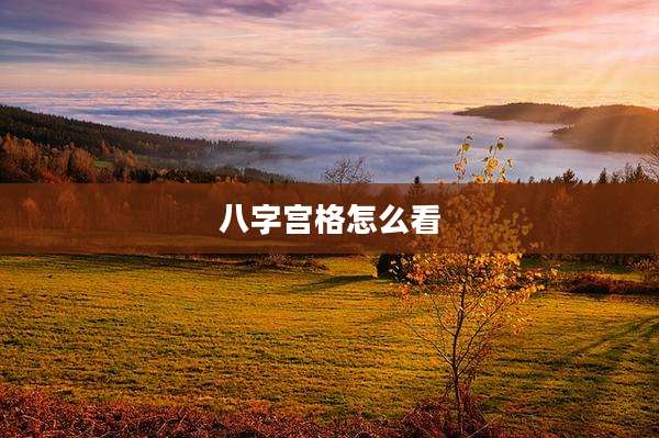 八字宫格怎么看