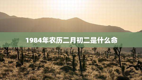 1984年农历二月初二是什么命