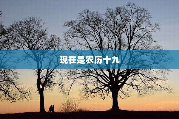 现在是农历十九