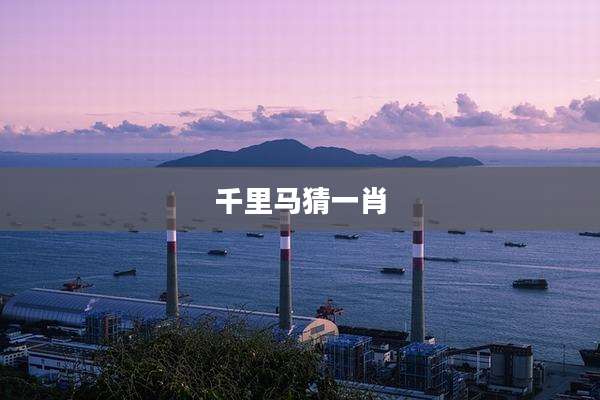 千里马猜一肖