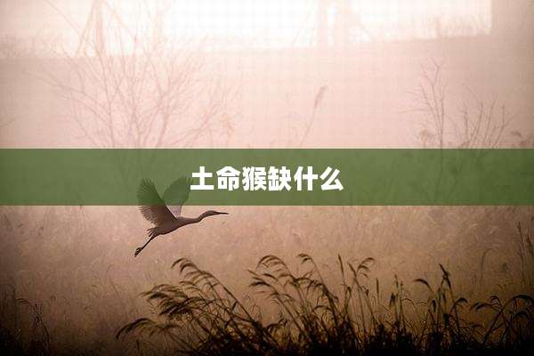 土命猴缺什么