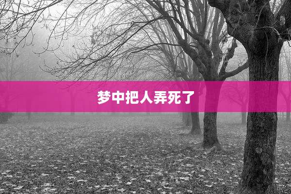 梦中把人弄死了
