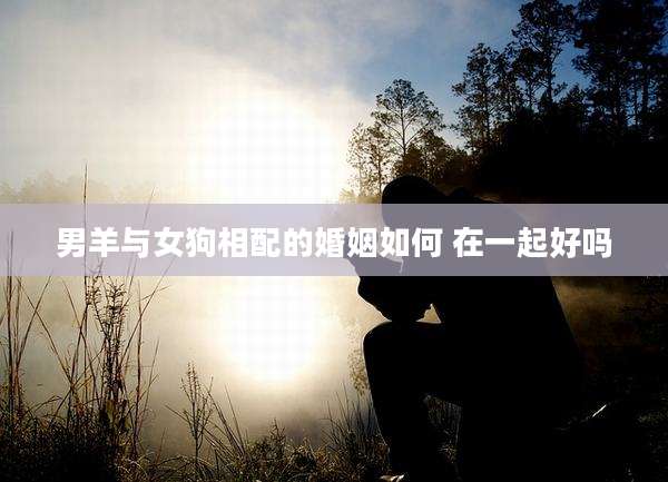 男羊与女狗相配的婚姻如何 在一起好吗