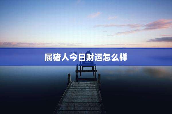 属猪人今日财运怎么样