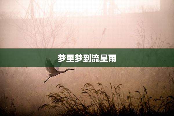 梦里梦到流星雨