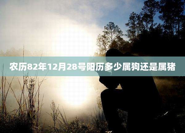农历82年12月28号阳历多少属狗还是属猪