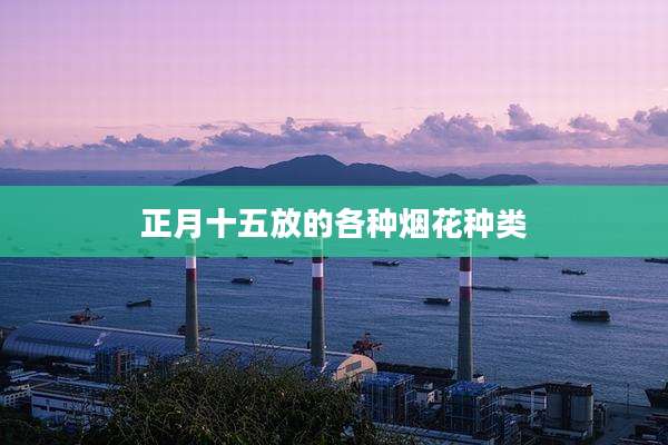 正月十五放的各种烟花种类