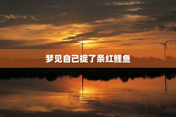 梦见自己捉了条红鲤鱼