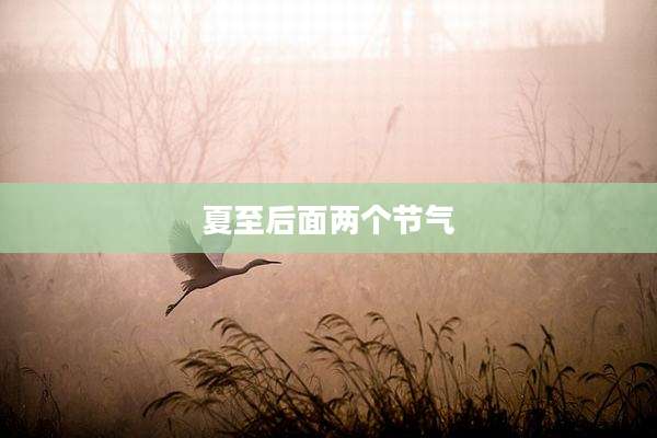 夏至后面两个节气