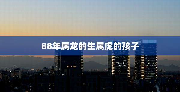 88年属龙的生属虎的孩子