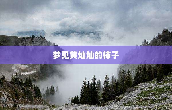 梦见黄灿灿的柿子
