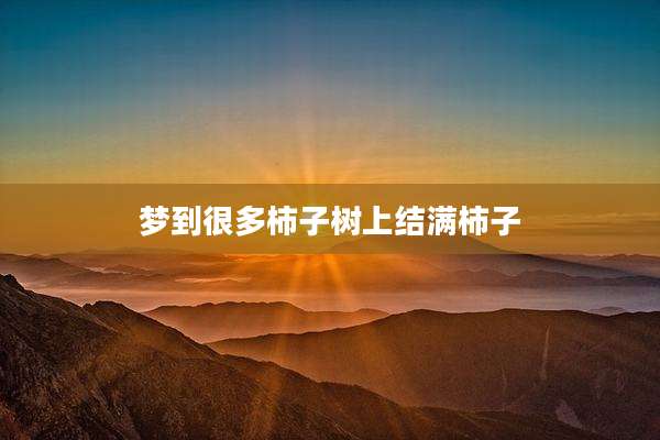 梦到很多柿子树上结满柿子