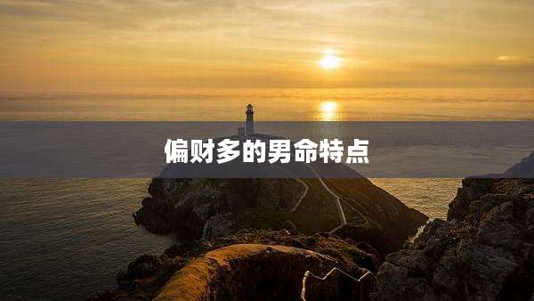 偏财多的男命特点