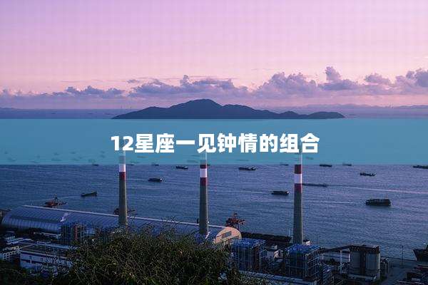 12星座一见钟情的组合