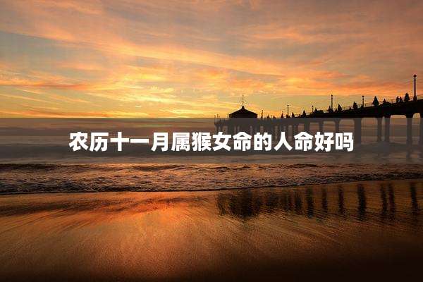 农历十一月属猴女命的人命好吗