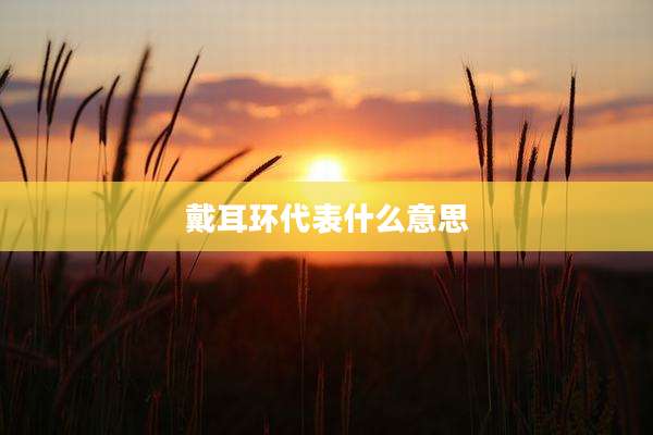 戴耳环代表什么意思